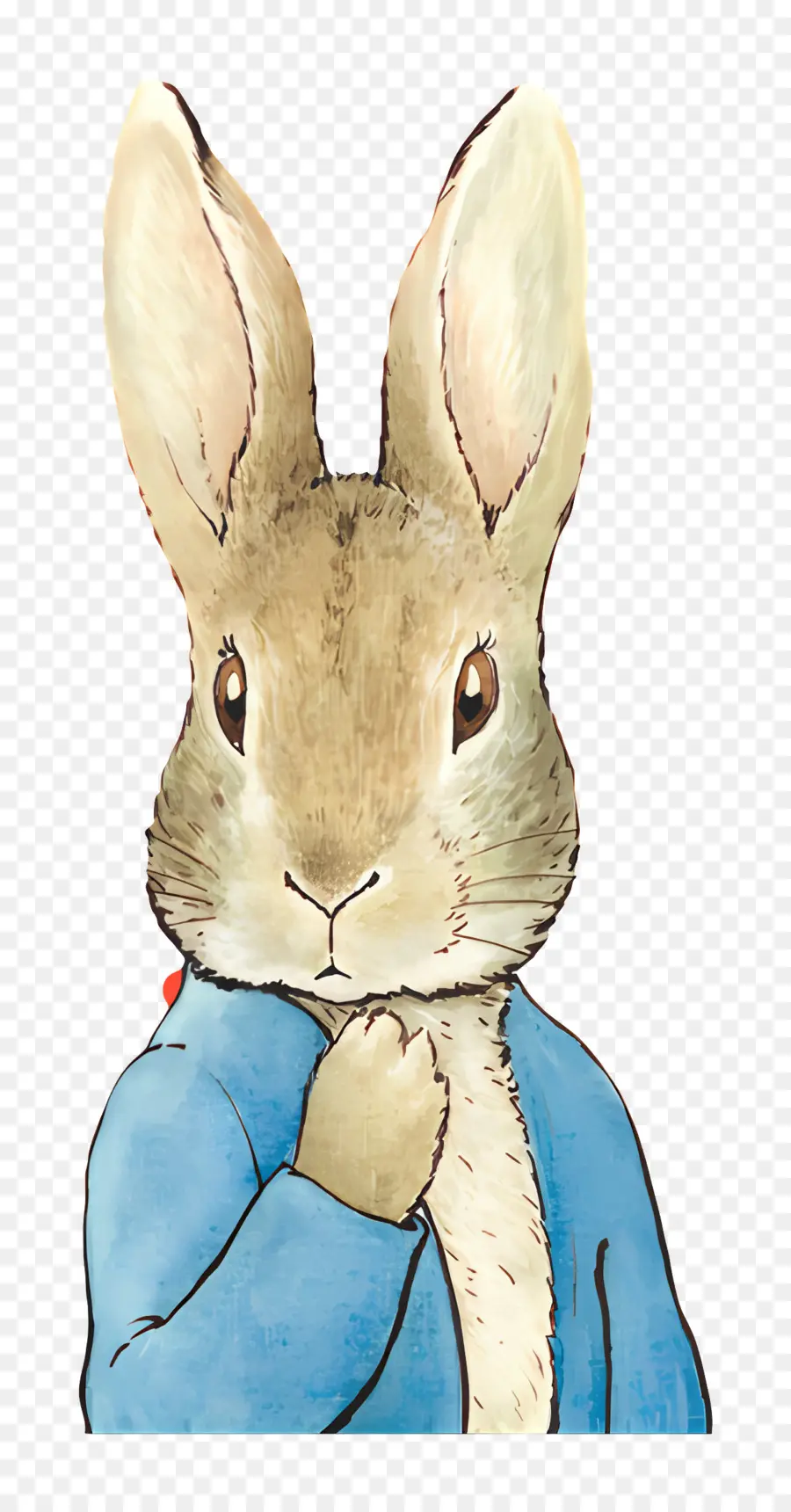 Pierre Lapin，Lapin En Veste Bleue PNG