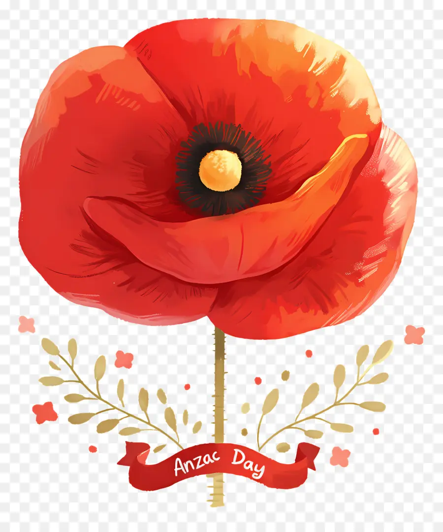 Journée Anzac，Coquelicot Anzac PNG