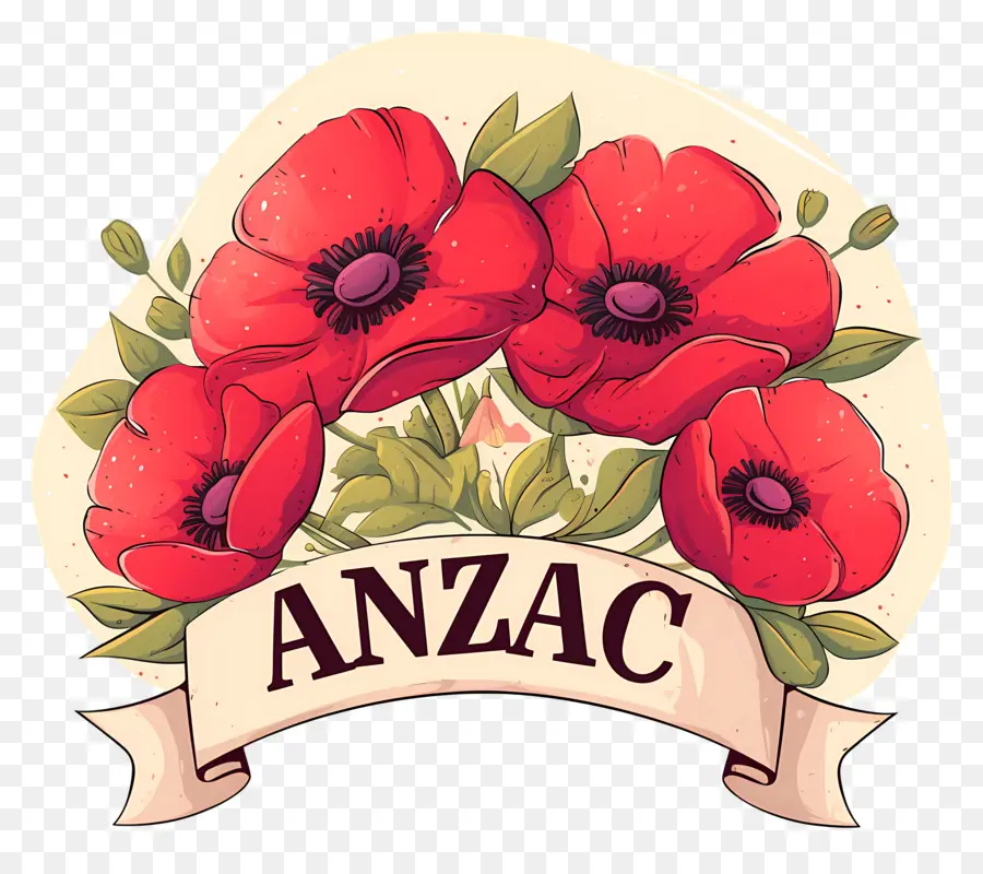 Journée Anzac，Arrangement De Coquelicots Anzac PNG