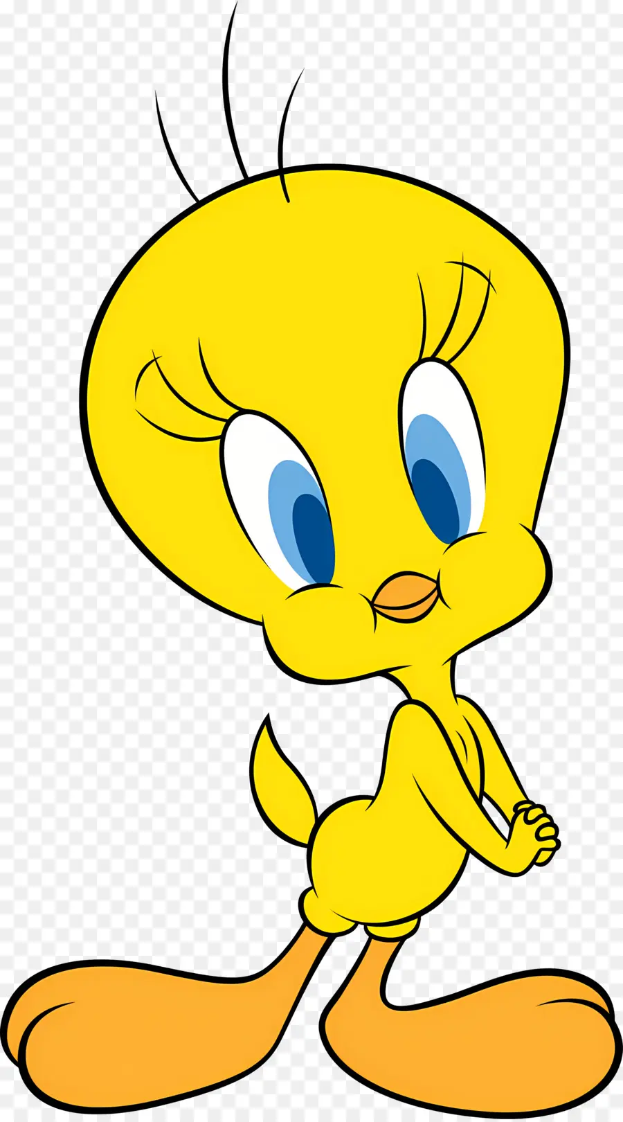 Titi，Oiseau De Dessin Animé PNG