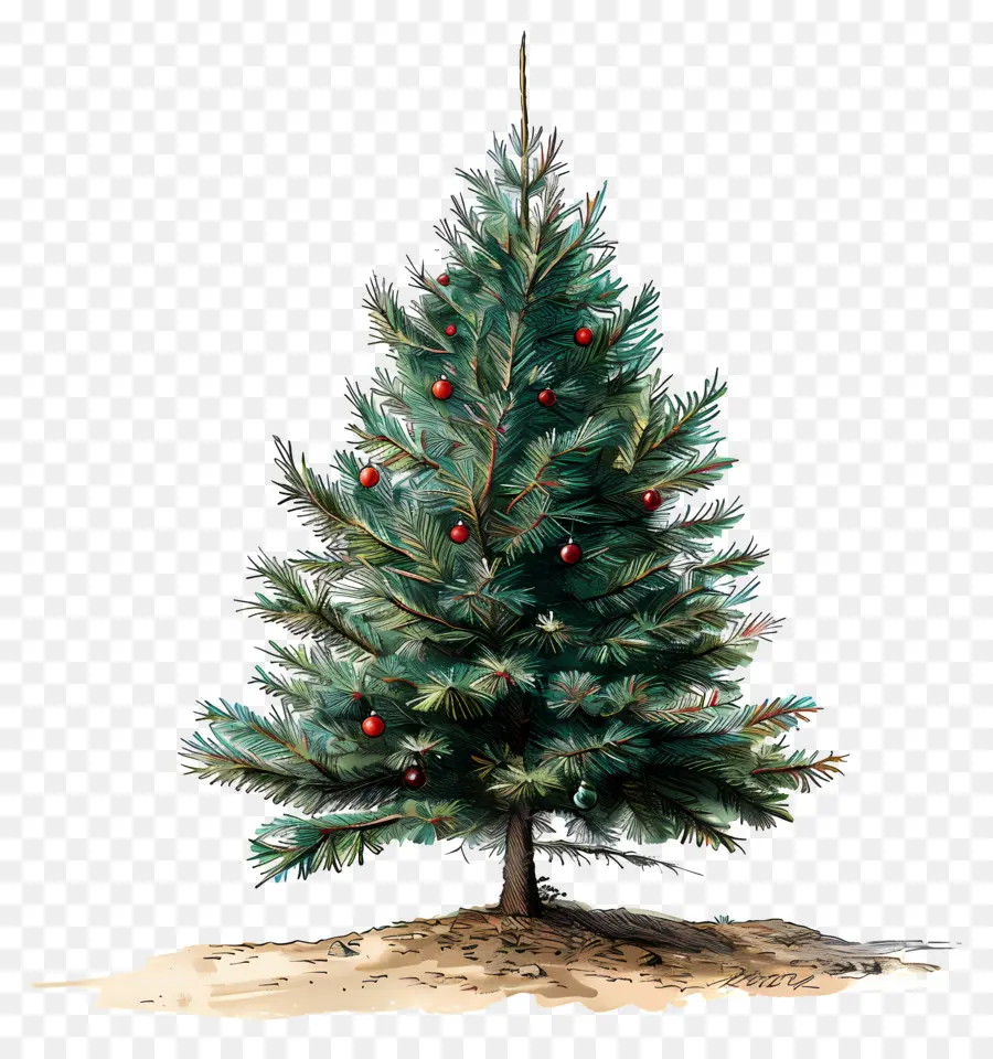 Arbre De Noël Aquarelle，Arbre De Noël PNG