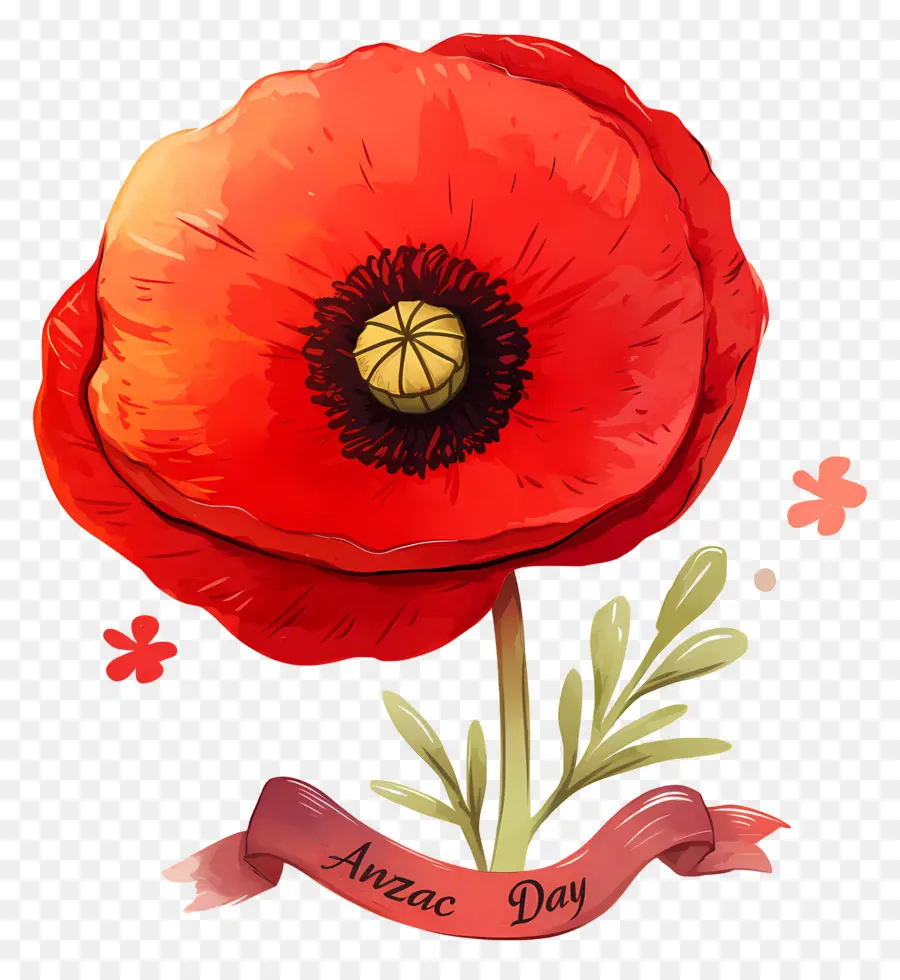 Journée Anzac，Coquelicot Rouge PNG