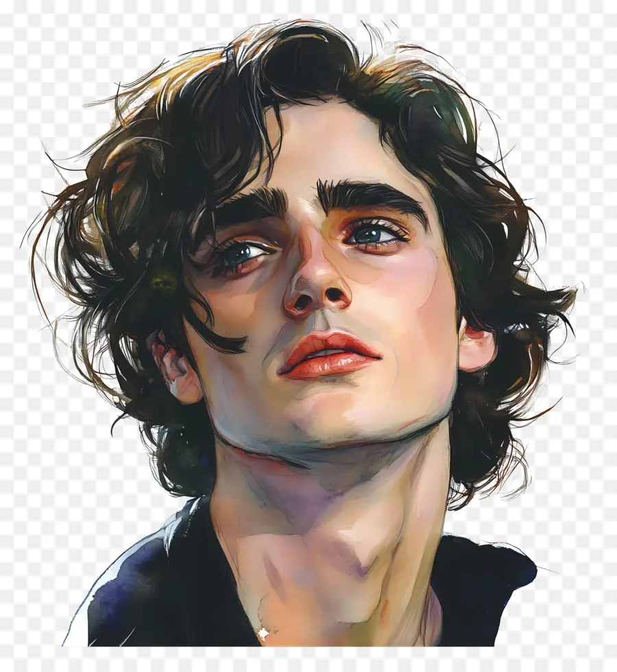 Timothée Chalamet，Portrait Artistique De Jeune Homme PNG