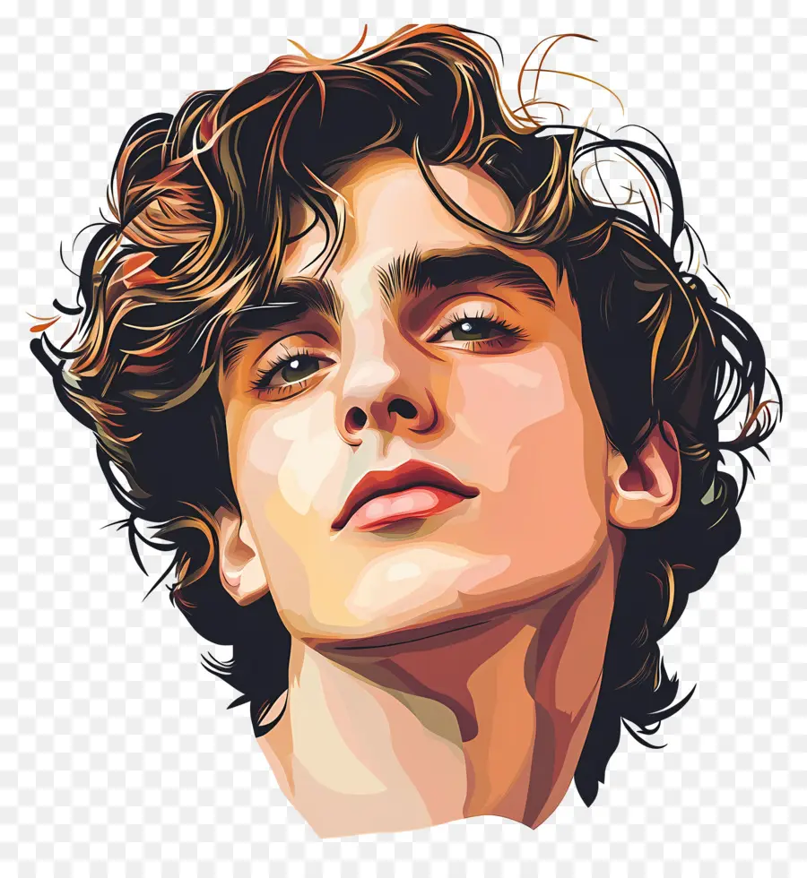 Timothée Chalamet，Portrait Coloré PNG