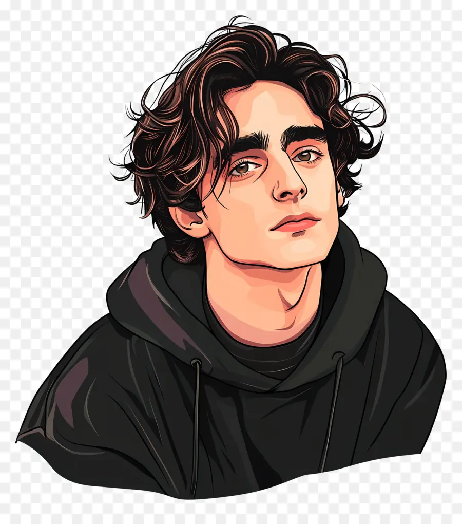 Timothée Chalamet，Portrait Coloré PNG