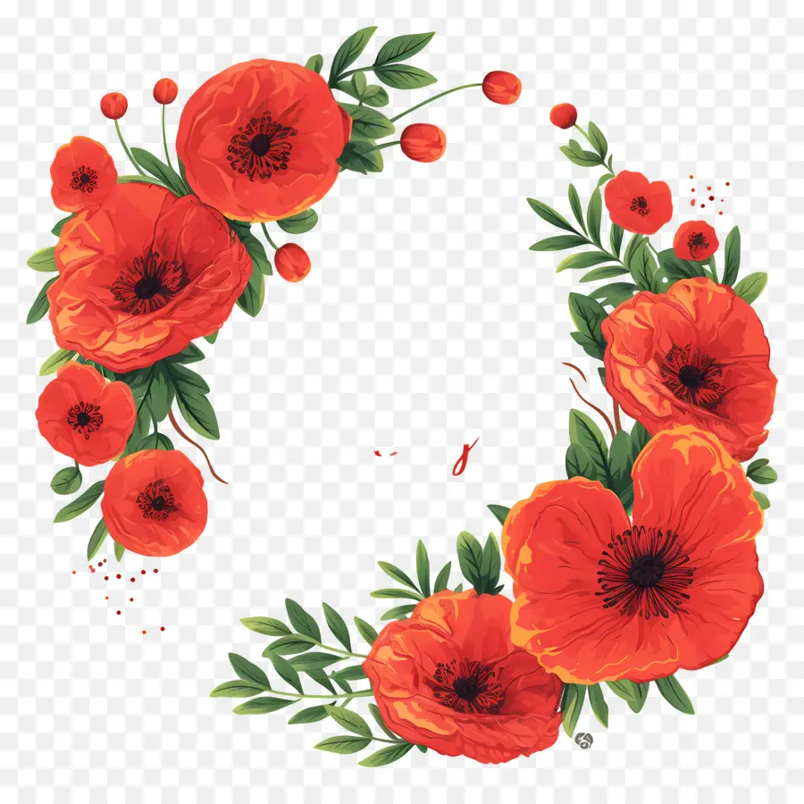 Journée Anzac，Fleurs Rouges PNG