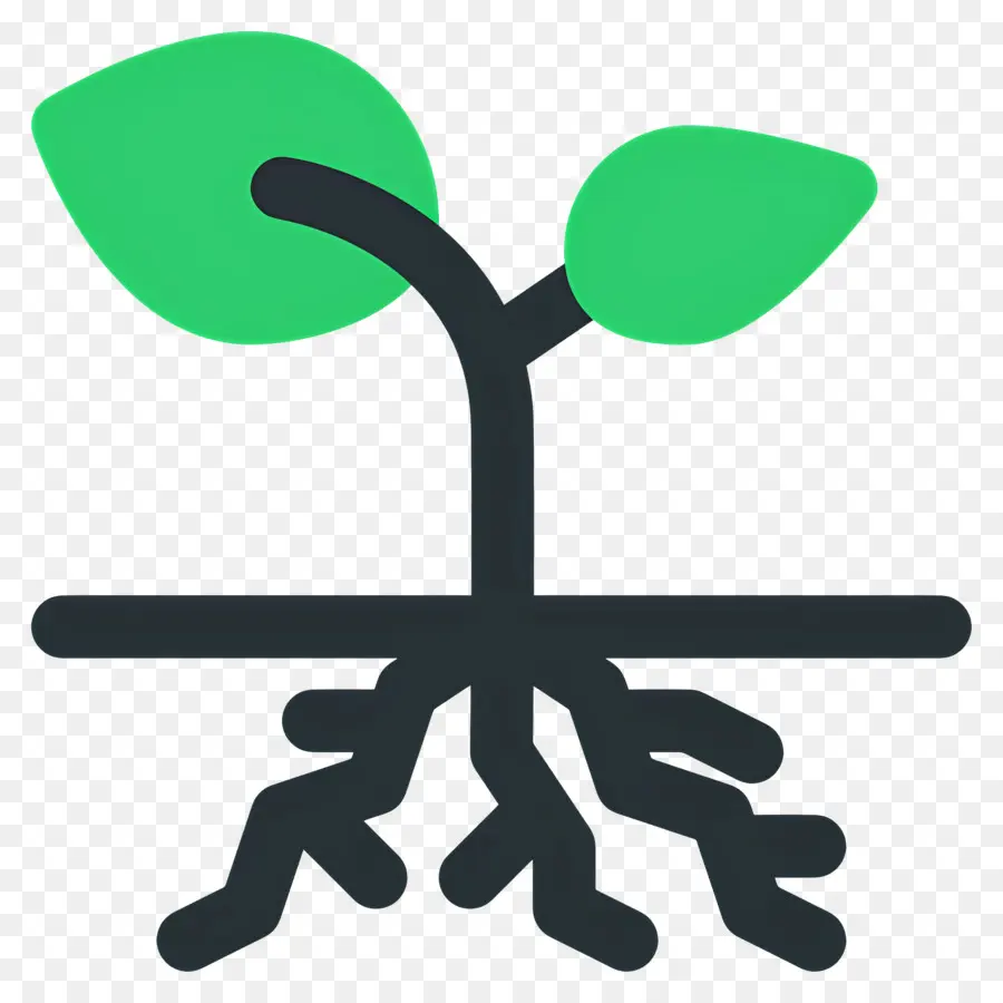 Racines，Plante Avec Des Racines PNG