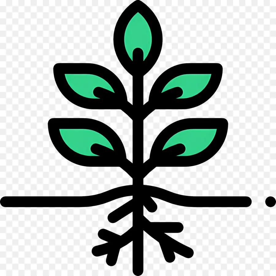 Racines，Plante Verte PNG