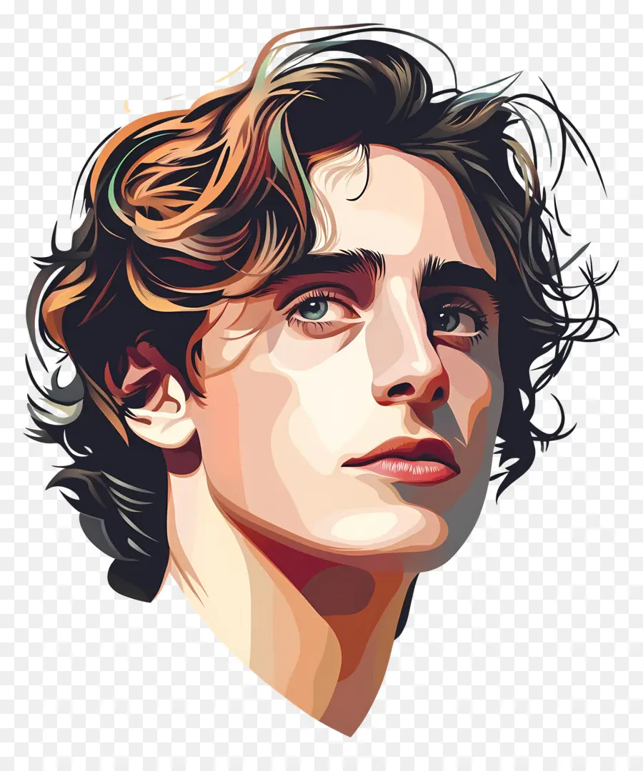 Timothée Chalamet，Portrait Coloré PNG