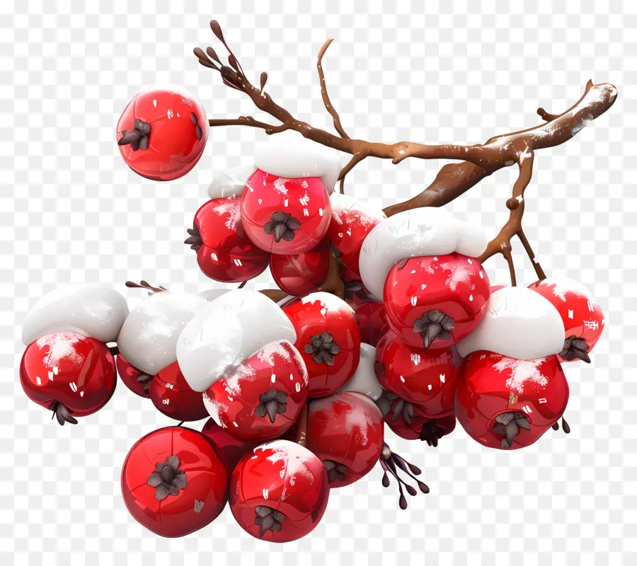 Baie D'hiver，Fruits Rouges PNG