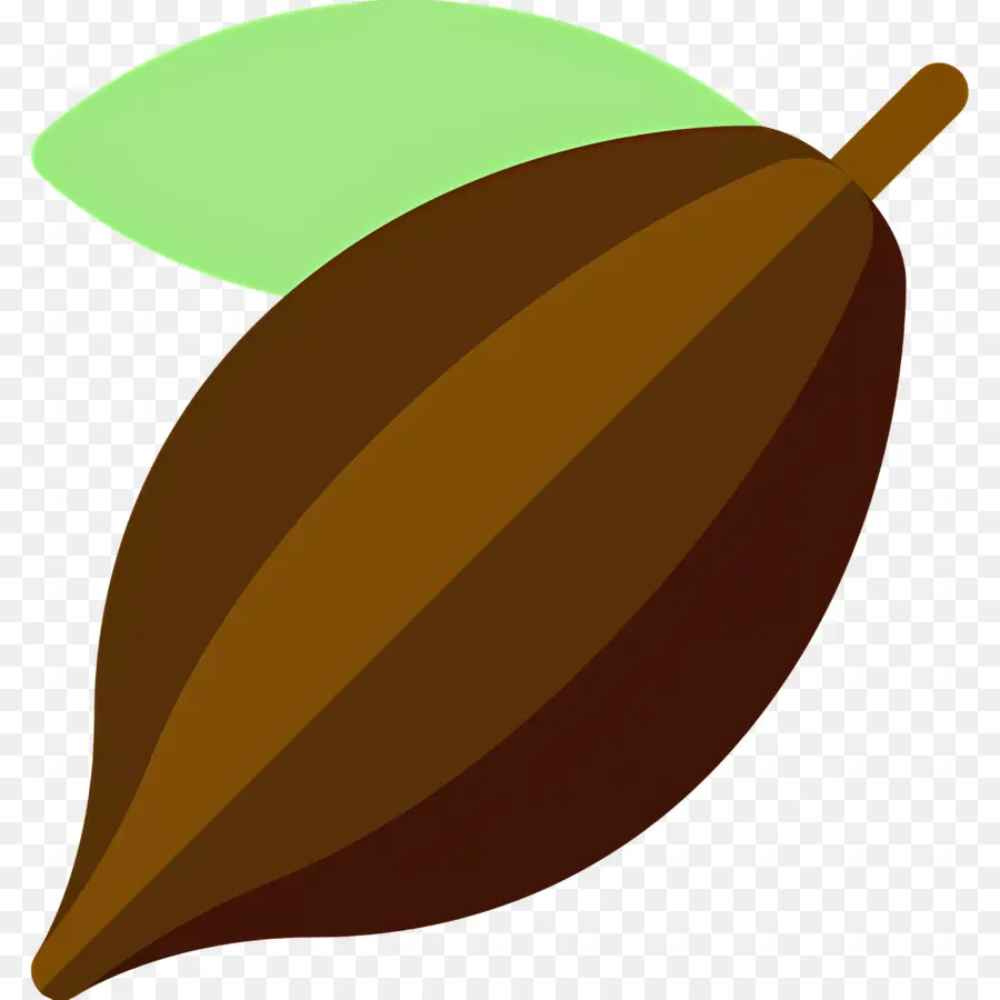 Fève De Cacao，Gousse De Cacao PNG