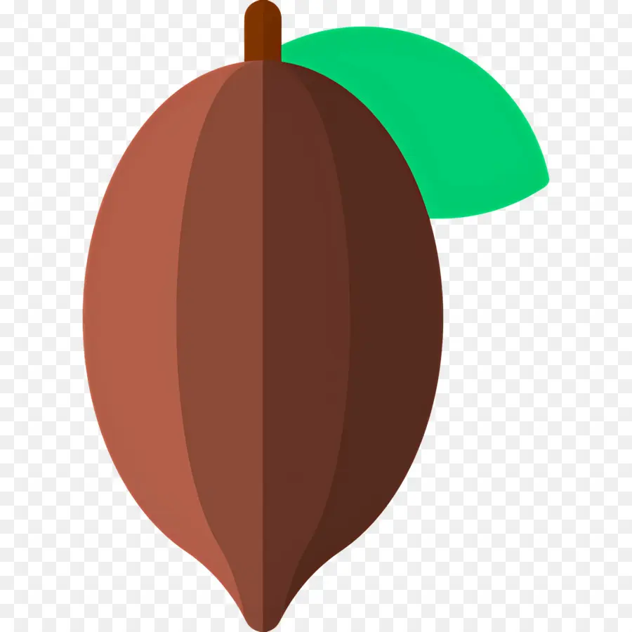 Fève De Cacao，Brun PNG