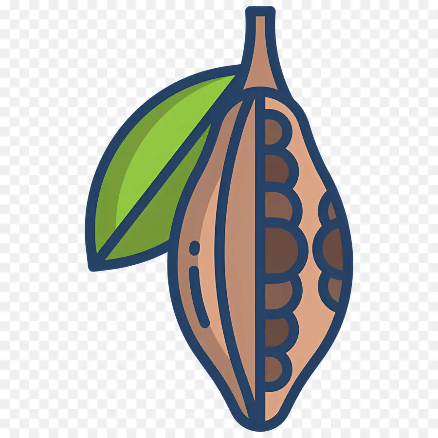 Fève De Cacao，Gousse Brune PNG