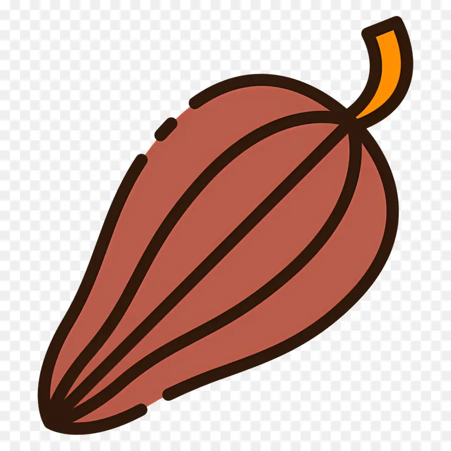 Fève De Cacao，Gousse De Cacao PNG