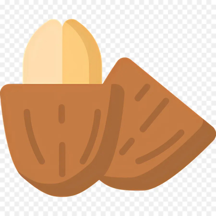 Fève De Cacao，Amande PNG