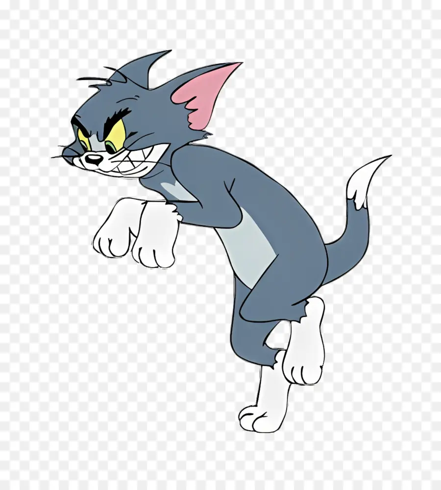 Tom Chat，Tom PNG