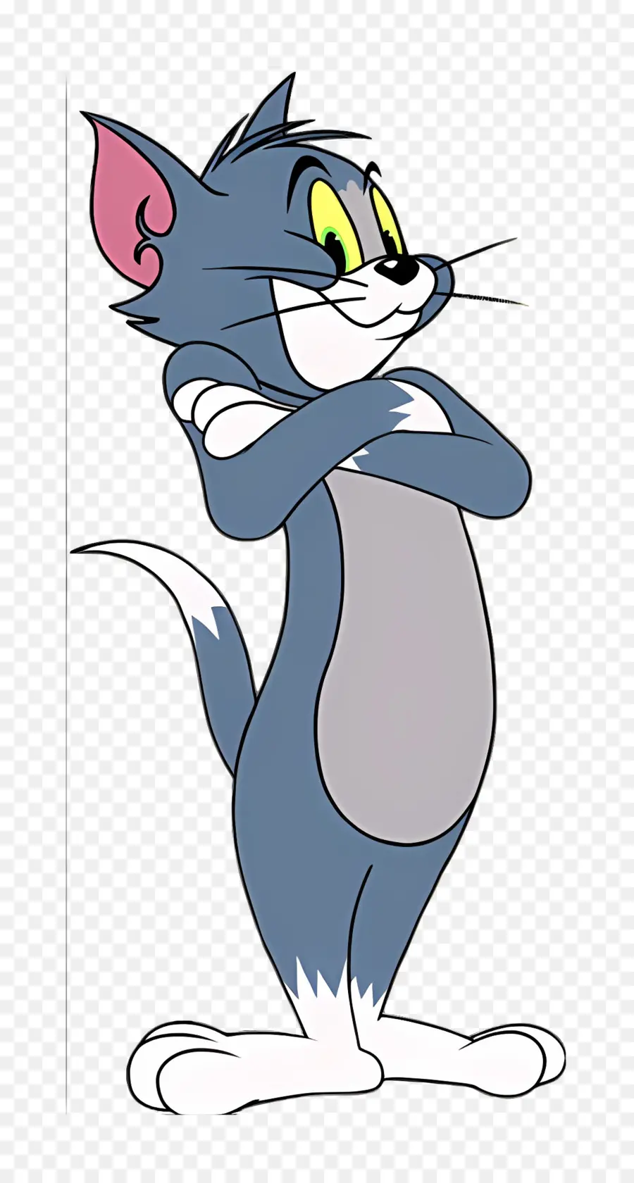 Tom Chat，Tom PNG