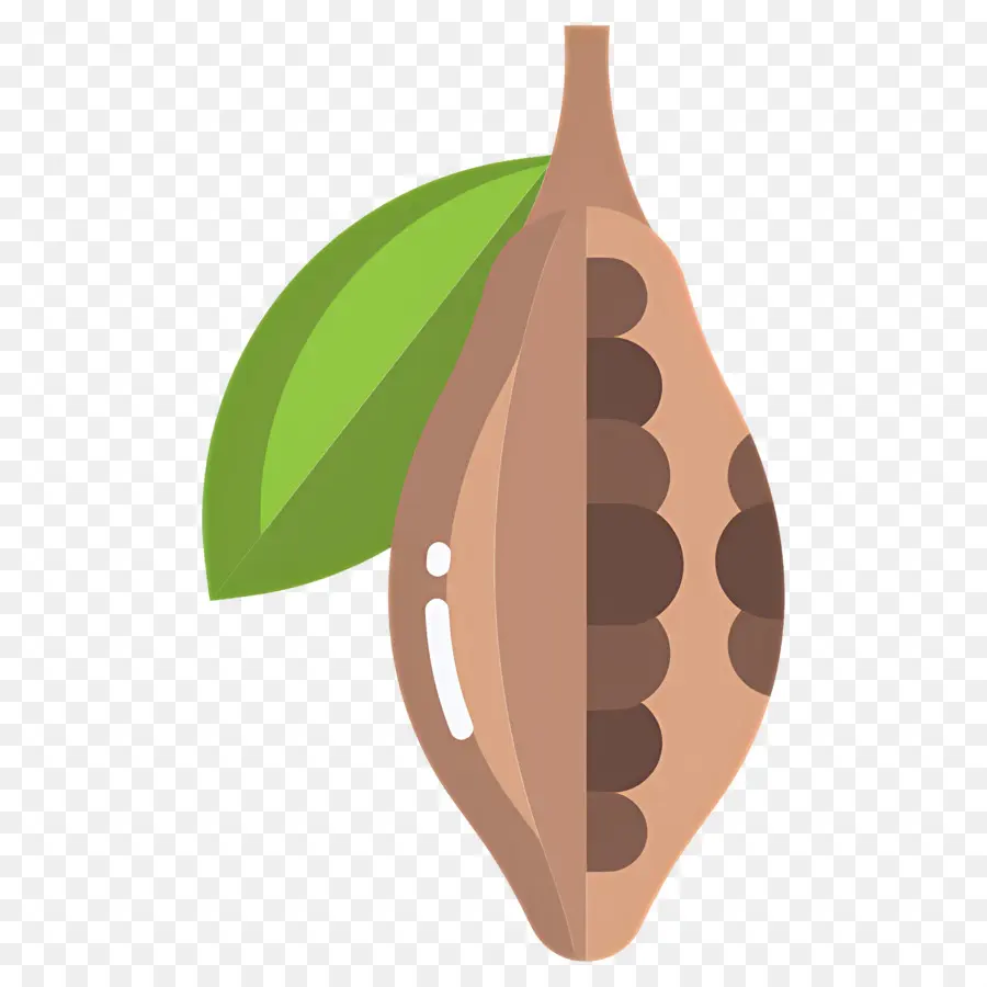 Fève De Cacao，Gousse Brune PNG