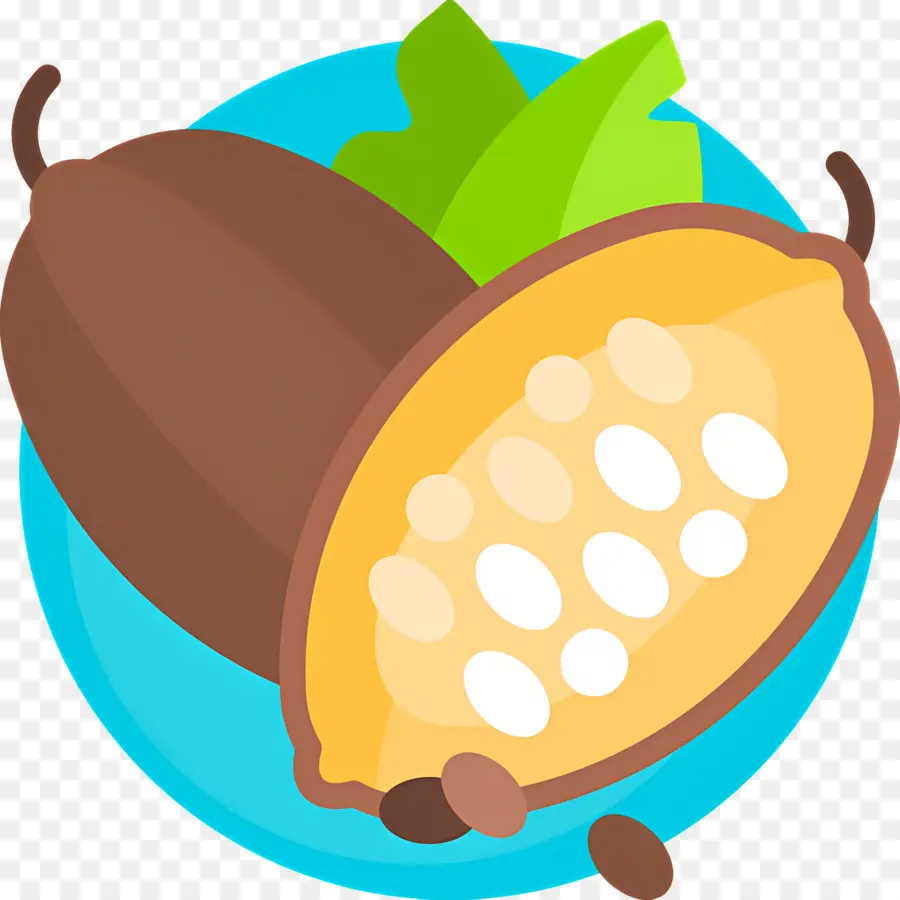 Fève De Cacao，Gousse De Cacao PNG