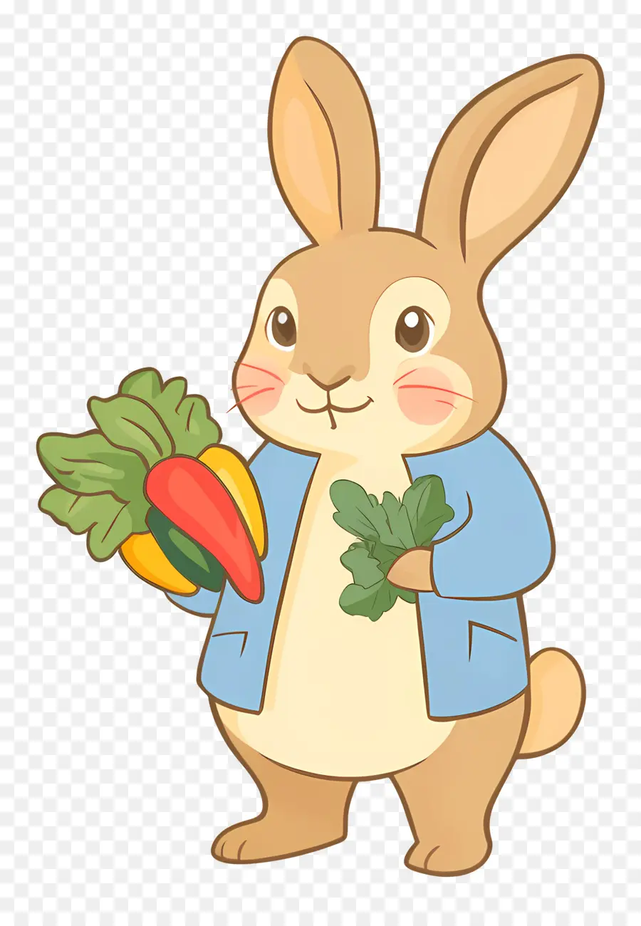 Pierre Lapin，Lapin Aux Légumes PNG