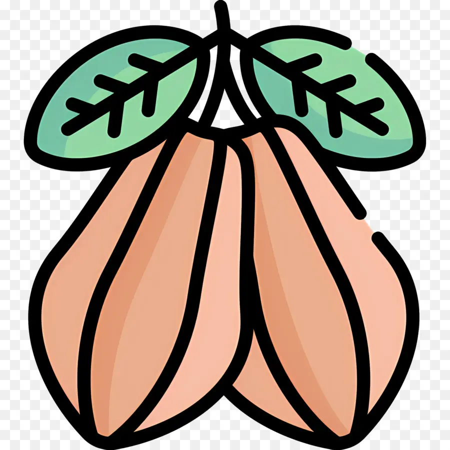 Fève De Cacao，Fruit Rose PNG