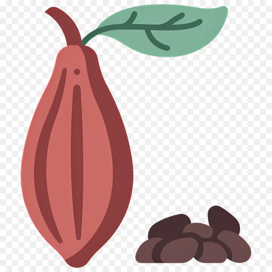 Fève De Cacao，Cosse De Cacao PNG