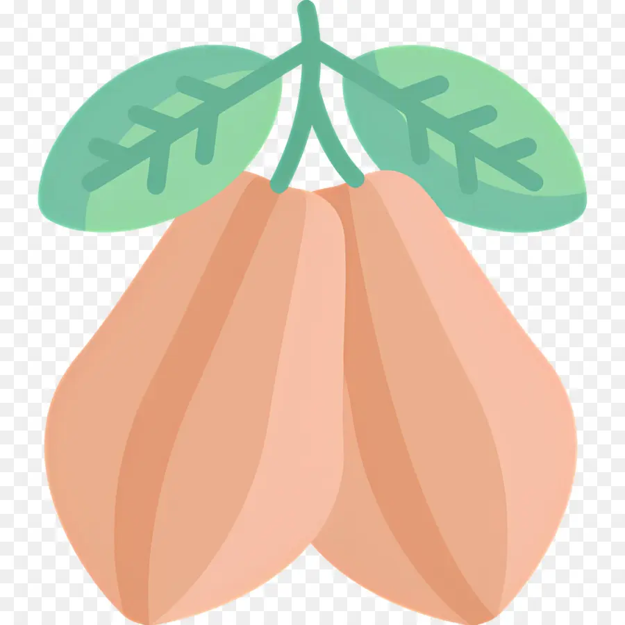 Fève De Cacao，Fruit Rose PNG