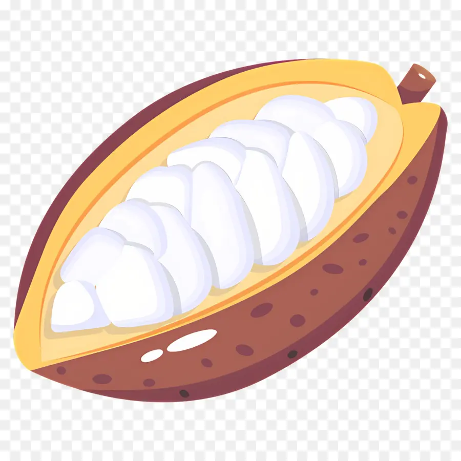 Fève De Cacao，Gousse De Cacao PNG