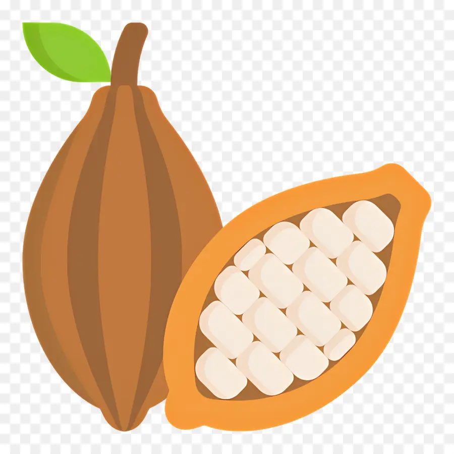 Fève De Cacao，Gousse De Cacao PNG