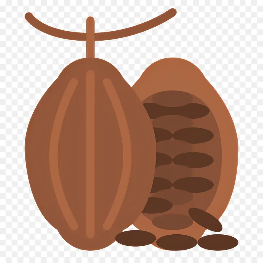 Fève De Cacao，Gousse De Cacao PNG