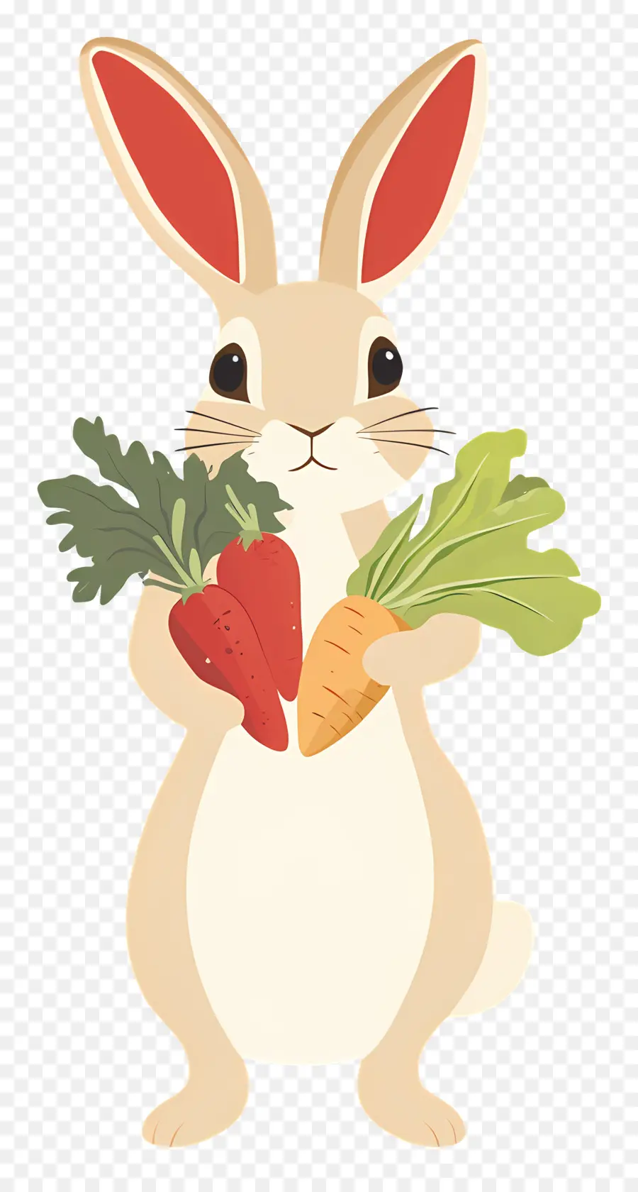 Pierre Lapin，Lapin Aux Légumes PNG