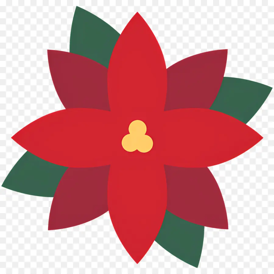 Poinsettia，Fleur Rouge PNG