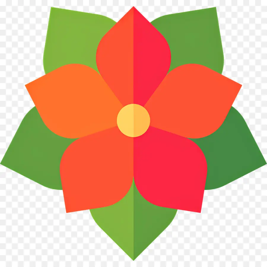 Poinsettia，Fleur Rouge PNG