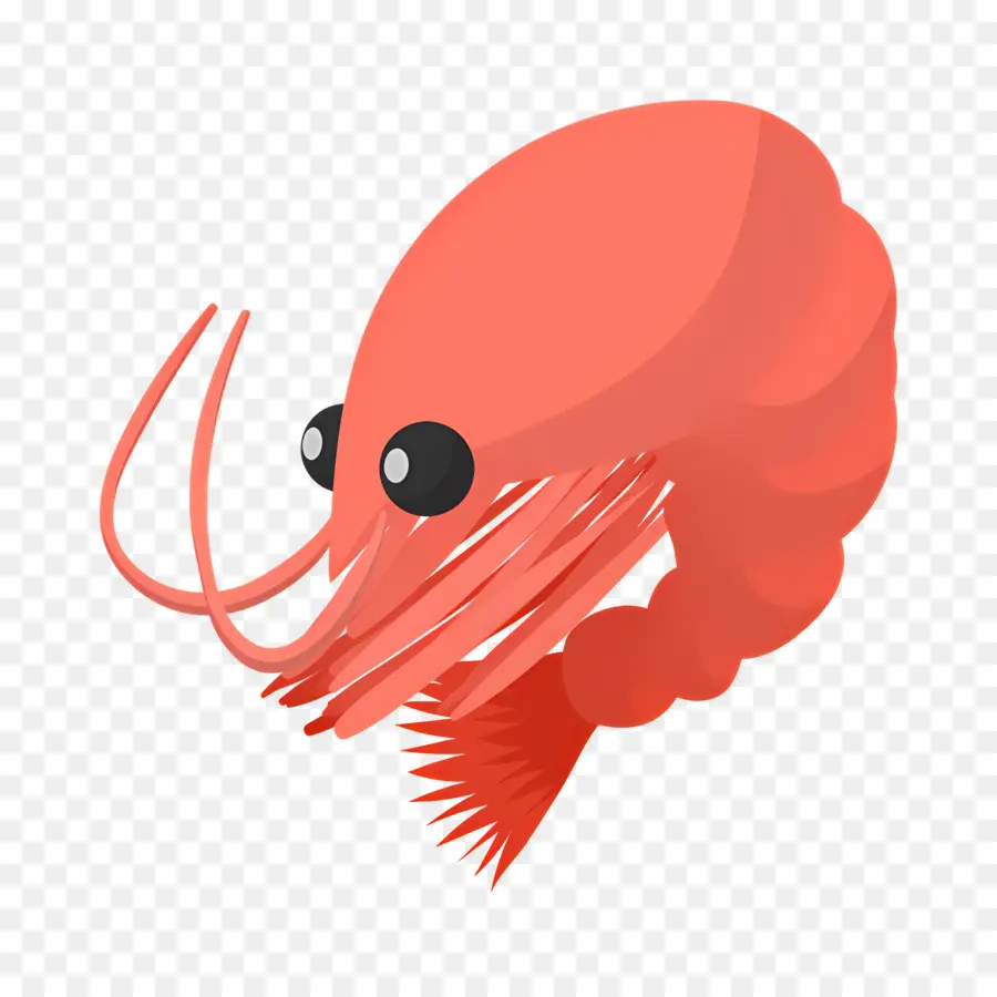 Crevettes Fraîches，Crevettes Rouges PNG