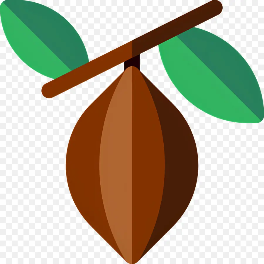 Fève De Cacao，Semis De Cacao PNG