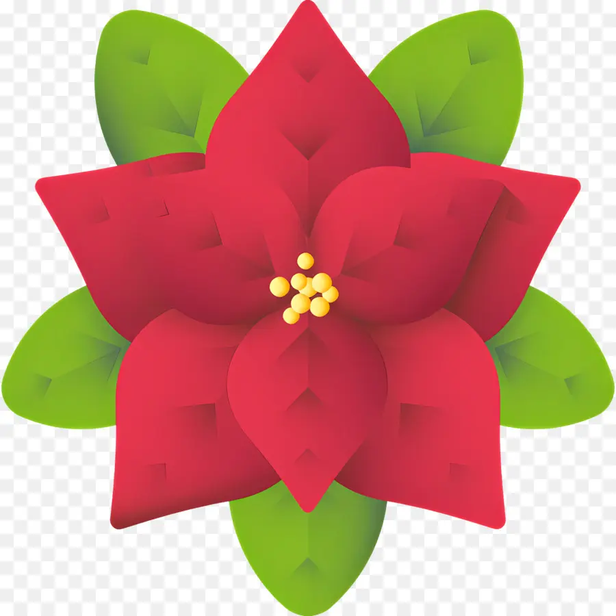 Poinsettia，Fleur Rouge PNG