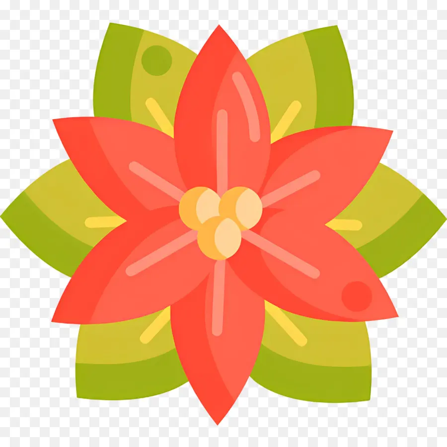 Poinsettia，Fleur Rouge PNG