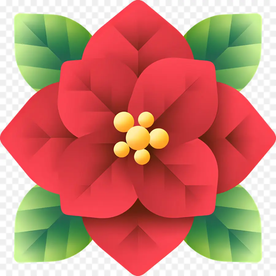 Poinsettia，Fleur Rouge PNG