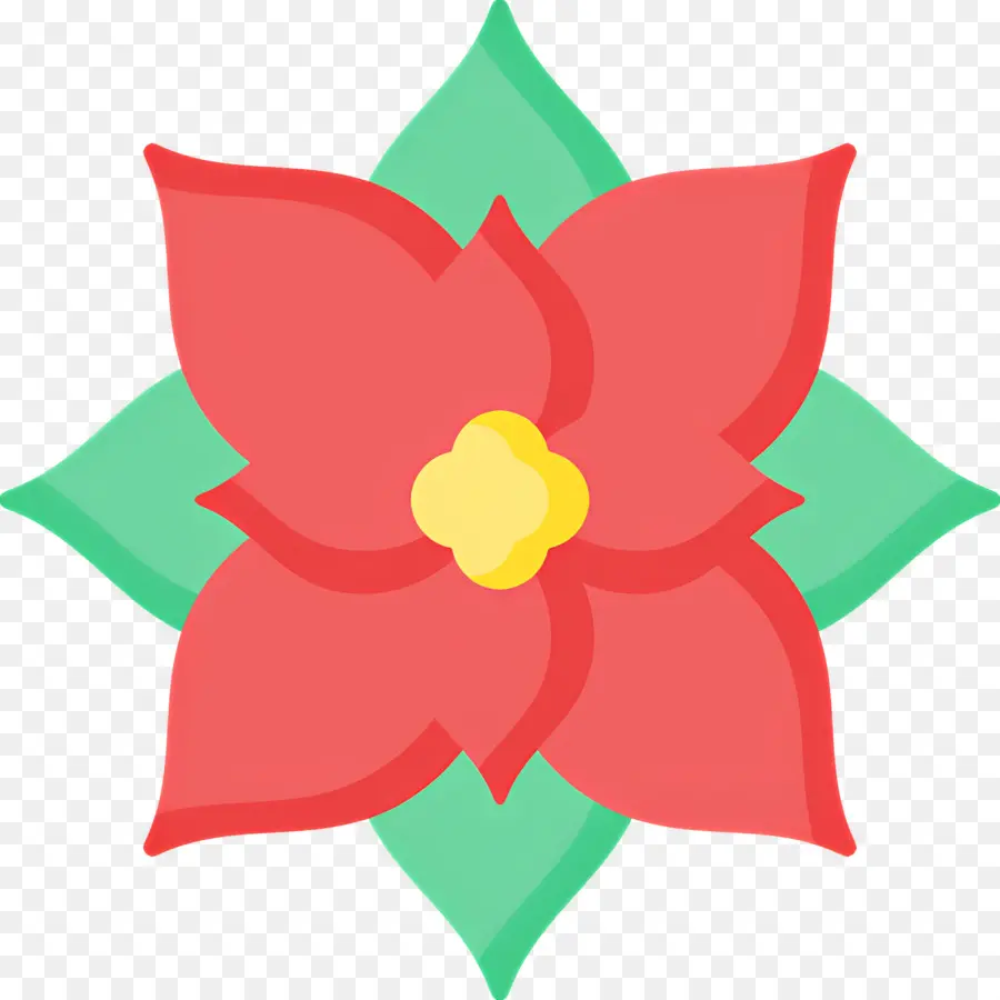 Poinsettia，Fleur Rouge PNG