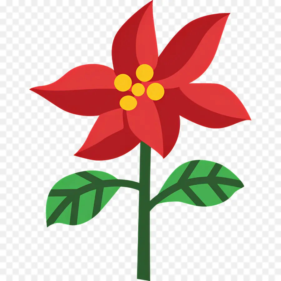 Poinsettia，Fleur De Dessin Animé PNG