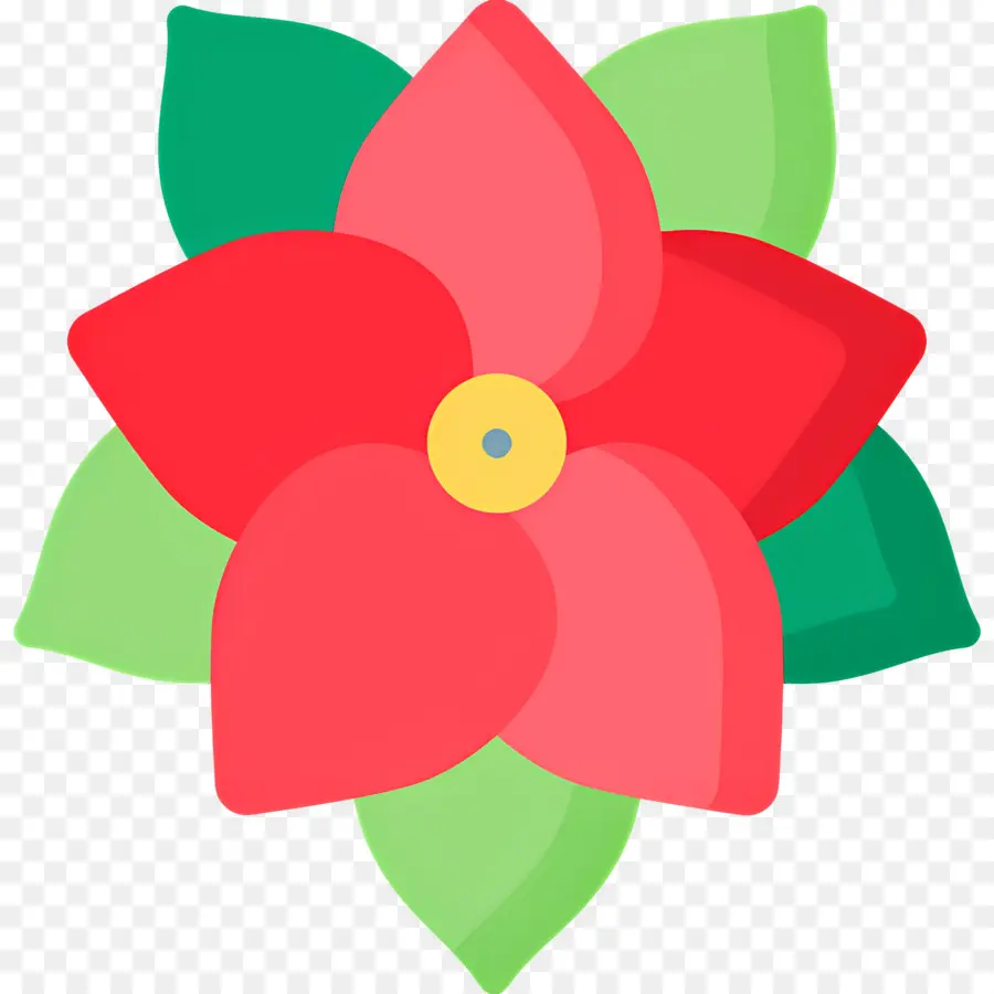 Poinsettia，Fleur Rouge PNG