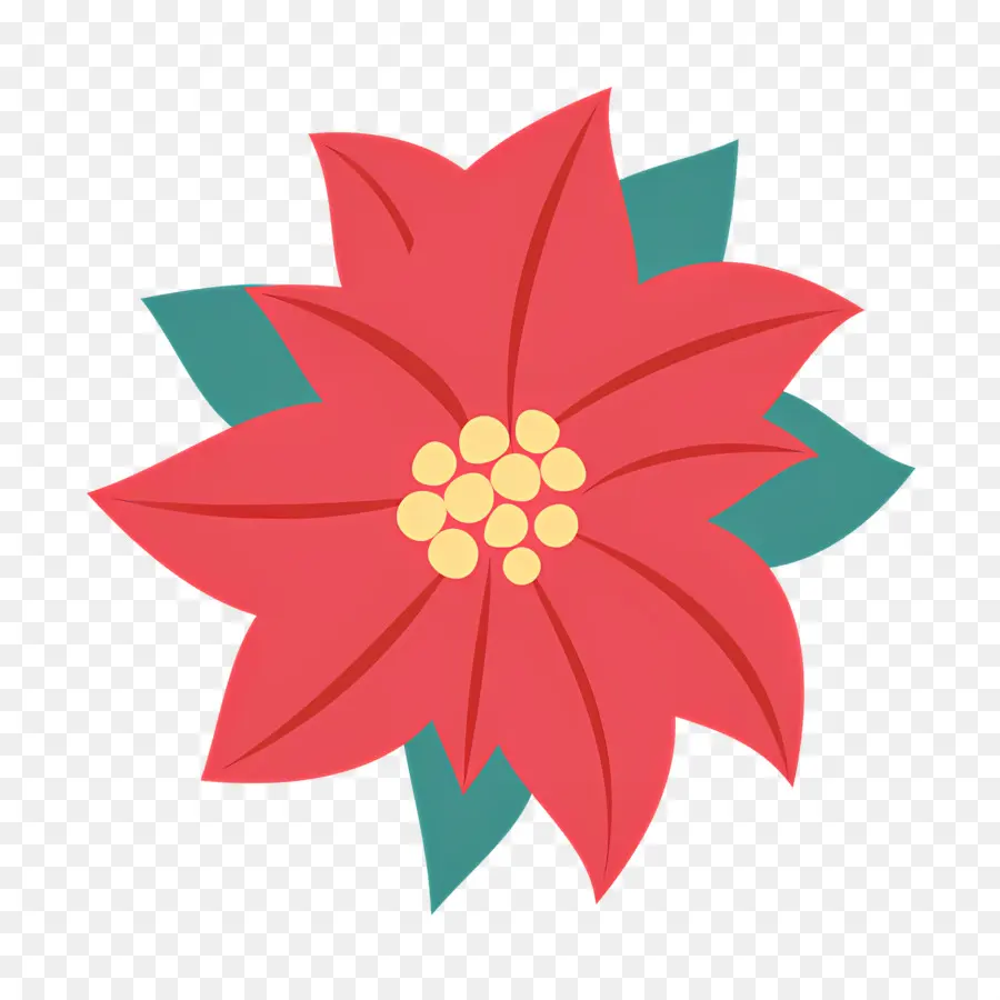 Poinsettia，Fleur Rouge PNG