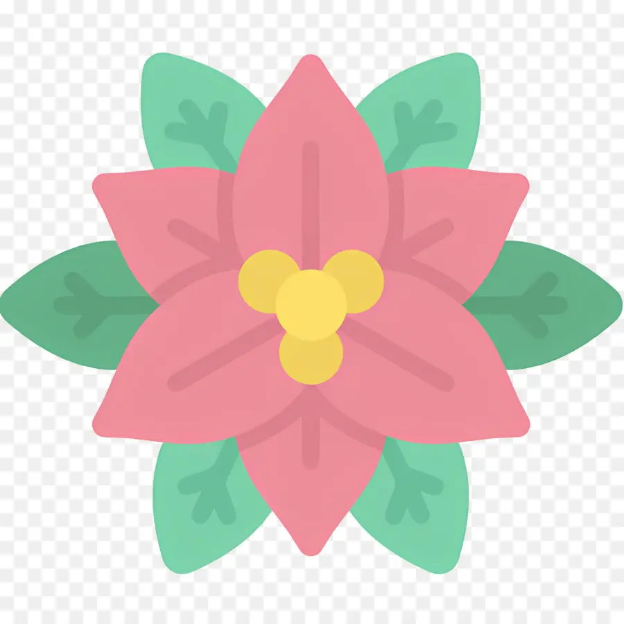 Poinsettia，Fleur Rouge PNG