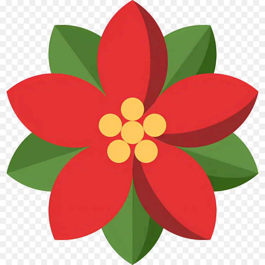 Poinsettia，Fleur Rouge PNG