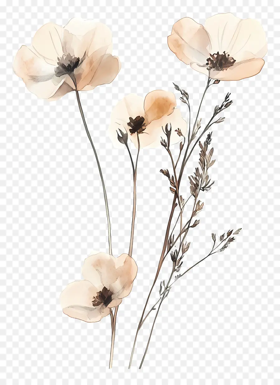 Art Des Fleurs Séchées，Fleurs Aquarelles PNG