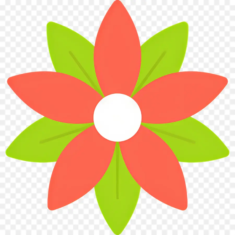 Poinsettia，Fleur PNG