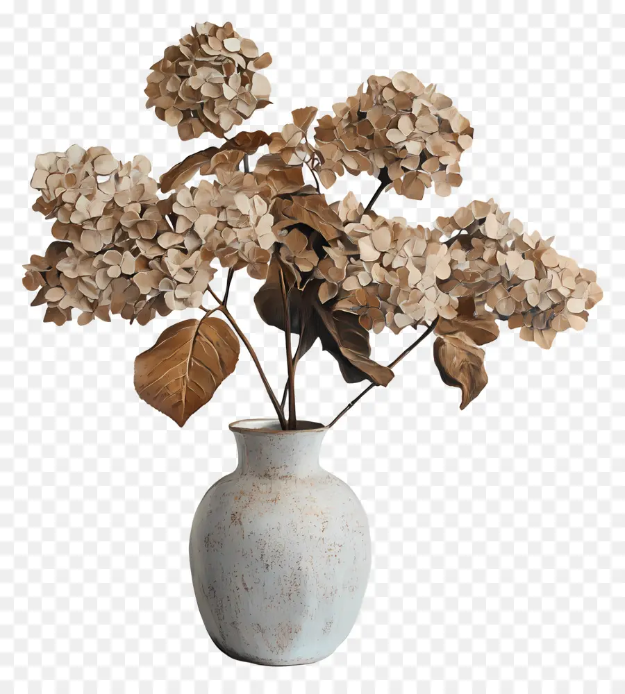 Hortensias Séchés，Hortensia Séchée Dans Un Vase PNG