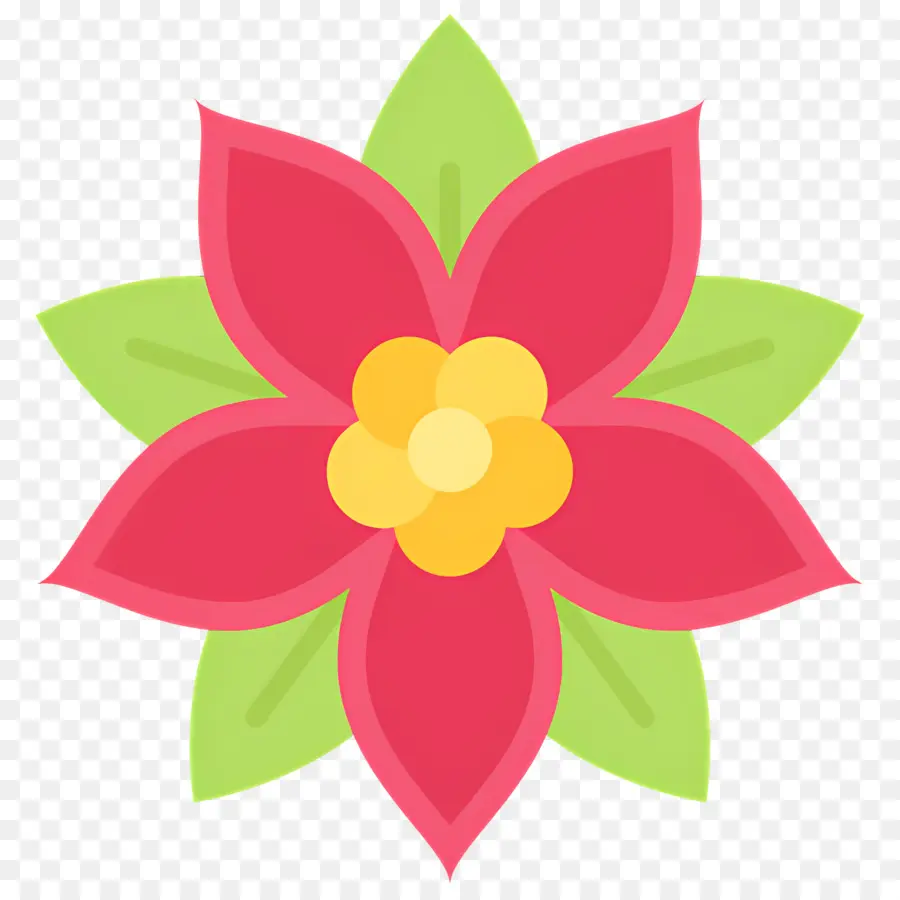 Poinsettia，Fleur Rose PNG