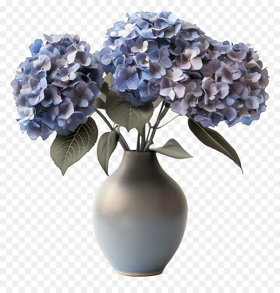 Hortensias Séchés，Hortensias PNG