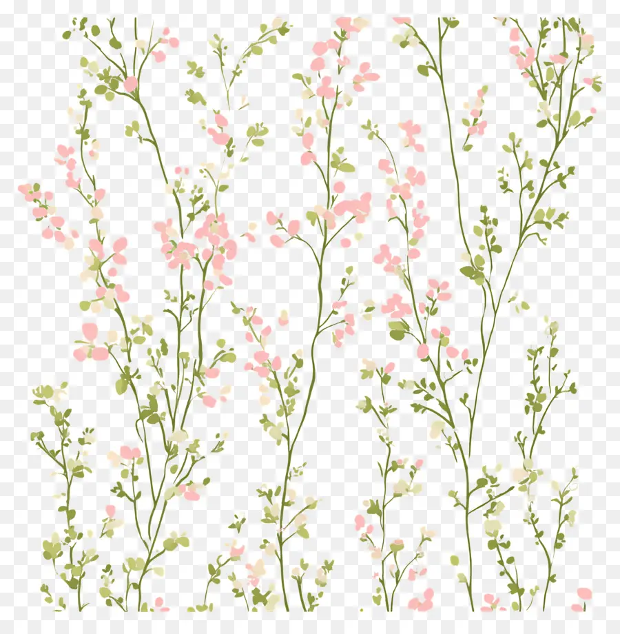 Fond De Fleurs，Fleurs Roses PNG